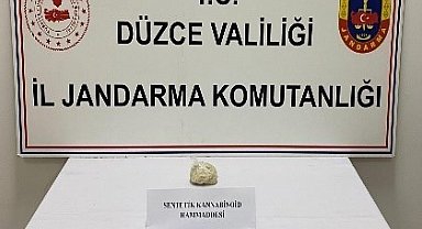 Düzce'de 67 şüpheliye uyuşturucudan işlem yapıldı
