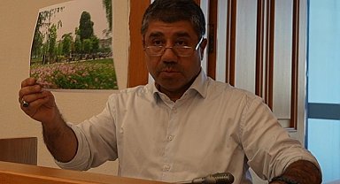 Düzce'de kişi başına 29 metrekare yeşil alan düşüyor