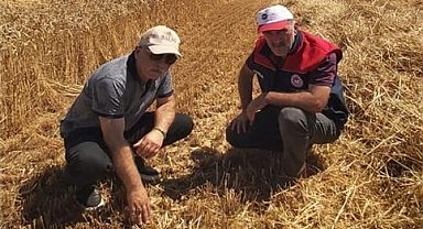 Düzce'de verimli hasat için yerinde denetim