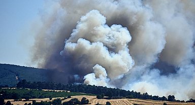 Edirne Keşan'da orman yangını