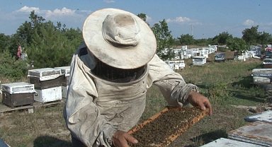 Edirne Keşan'da arıcılar zor günler geçiriyor