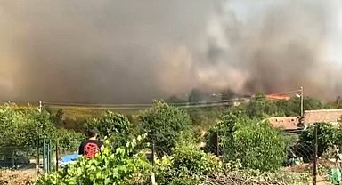 Edirne'de 30 dönümlük buğday tarlası alev alev yandı