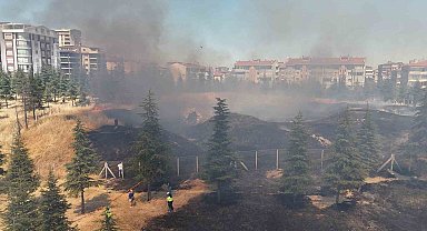 Edirne'de çıkan yangın tarihi tabyaya zarar verdi