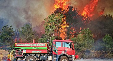 Edirne'de orman ve anız yangınında alevler metrelerce yükseldi