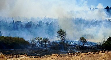Edirne'deki orman ve anız yangını kontrol altına alındı