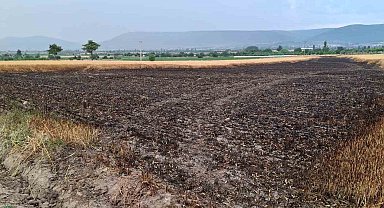 Ekili araziye düşen yıldırım 8 ton buğdayı kül etti