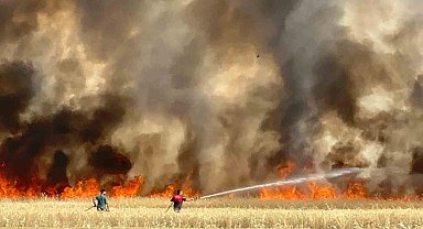 Elazığ'da arazi yangını: Ekili alanlar da küle döndü