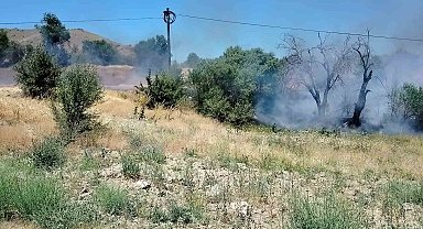 Elazığ'da korkutan yangın: Onlarca dönümlük alan kül oldu