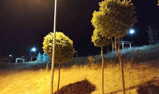 Elazığ'da kuvvetli rüzgar etkili oldu