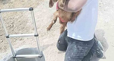 Elazığ'da kuyuya düşen keçi ve koyunları itfaiye kurtardı