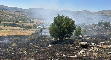 Elazığ'da otluk alanda çıkan yangın söndürüldü