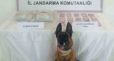 Elazığ'da uyuşturucuyla mücadele