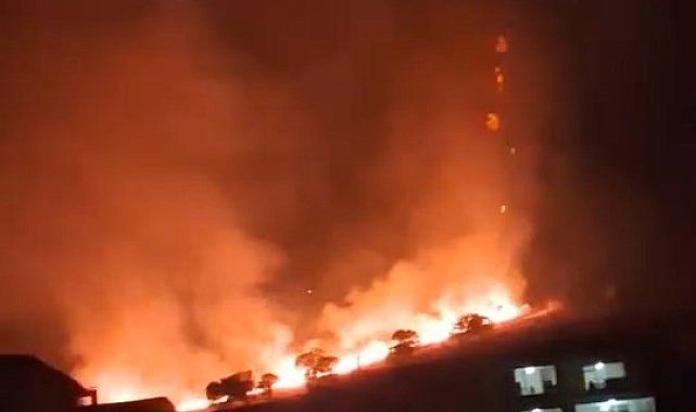 Elazığ'daki örtü yangını söndürüldü