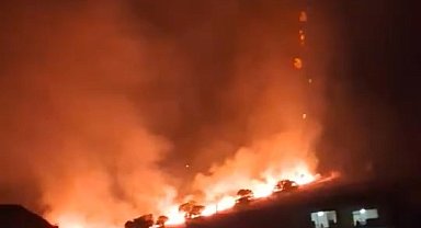 Elazığ'daki örtü yangını söndürüldü