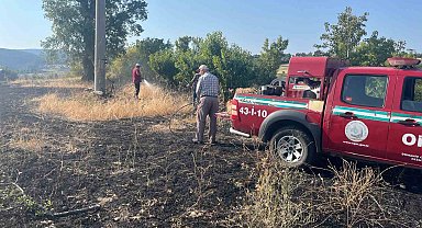 Elektrik akımına kapılan kuş yangına neden oldu