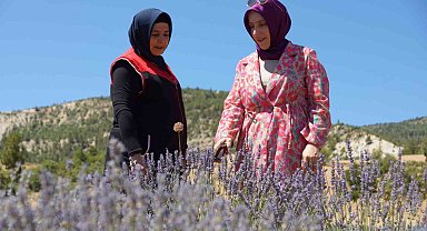 Emekli olup döndüğü köyünde lavantadan sonra salep yetiştirmeyi hedeliyor