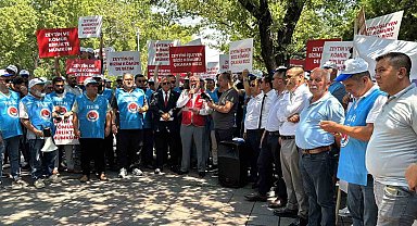 Enerji torba yasasından köylüye müjde çıktı: "Taşınan zeytin ağacının iki katı kadar yeniden dikilecek"