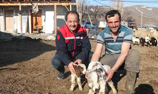 Erzincan'da koyunculuk kredisi 1 milyon 200 bin liraya yükseltildi