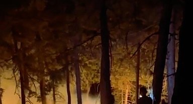 Eşeler Dağında çıkan yangın büyümeden söndürüldü