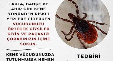 Eskişehir Valiliği'nden kene uyarısı