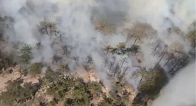 Eskişehir'de orman yangını... Müdahale sürüyor