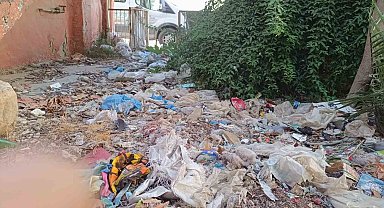 Evin bahçesinden kamyon dolusu çöp çıktı