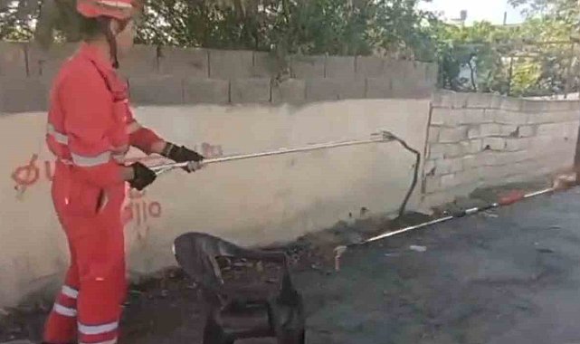 Evin bahçesine giren yılanı itfaiye yakaladı