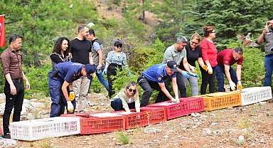 Feke'de sazanlar baraja, keklikler dağlara salındı