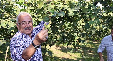 Ferrero'ya 'yasak' geldi