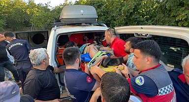 Fındık tarlasında çalışırken dereye düştü: Ekipler seferber oldu