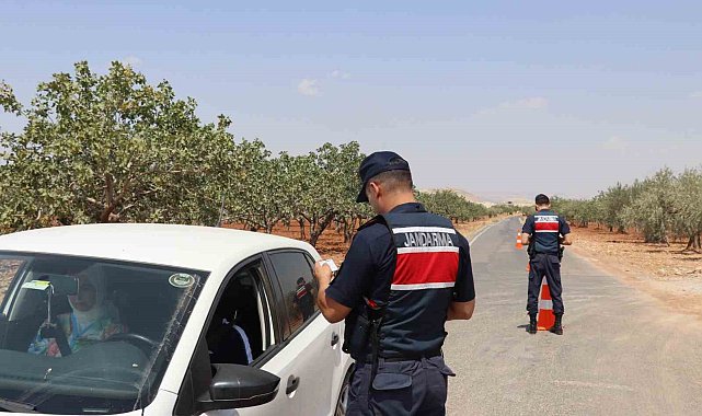 Fıstık hırsızlığına karşı jandarmadan sıkı denetim