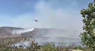 Gabar Dağı'nda orman yangını