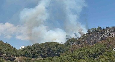 Gazipaşa'da ormanlık alanda yangın