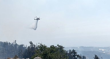 Gazipaşa'daki orman yangını 3. gününde kontrol altına alındı