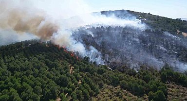 Gebze'deki orman yangını kontrol altına alındı
