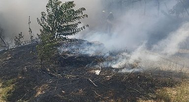 Gediz'de trafo yakınında ot yangını paniğe sebep oldu