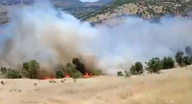 Gerger'de korkutan orman yangını