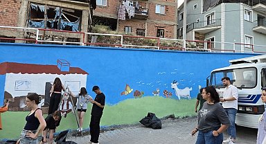 Gökler Beldesinde boş duvarlar sanat eserine dönüştü