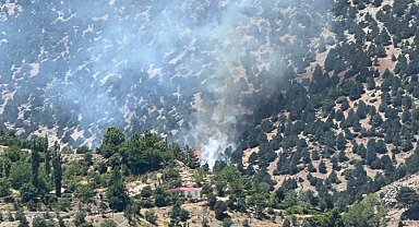 Gölbaşı'nda ormanlık alan yandı