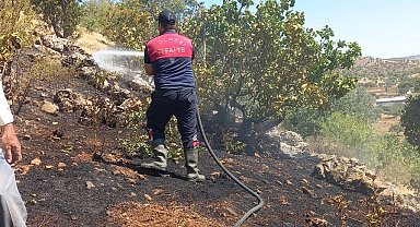 Gölbaşı'nda ormanlık alan yandı