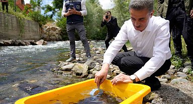 Gümüşhane'de 10 bin kırmızı benekli alabalık doğaya salındı