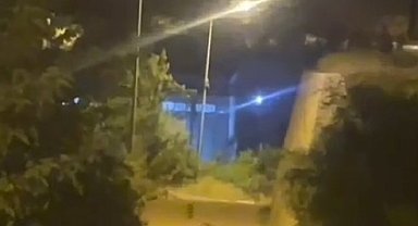 Gümüşhane'de ayı şehir merkezinde görüntülendi