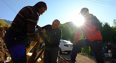 Gümüşhane'de hayvancıların yaz mesaisi başladı