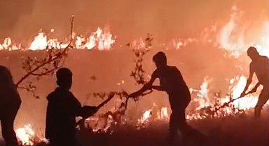 Hakkari-Van il sınırı arasında çıkan yangın korkuttu