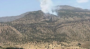 Hakkari'de orman yangını