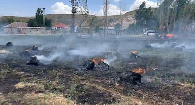 Hakkari'de yaklaşık bin 500 bağ ot kül oldu