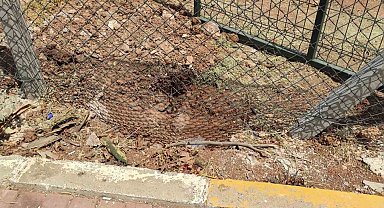Harran Üniversitesinde başıboş köpekler koruma altındaki ceylanları parçaladı