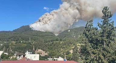 Hatay'da orman yangını