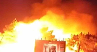 Hatay'da orman yangını