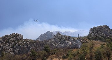 Hatay'da orman yangını